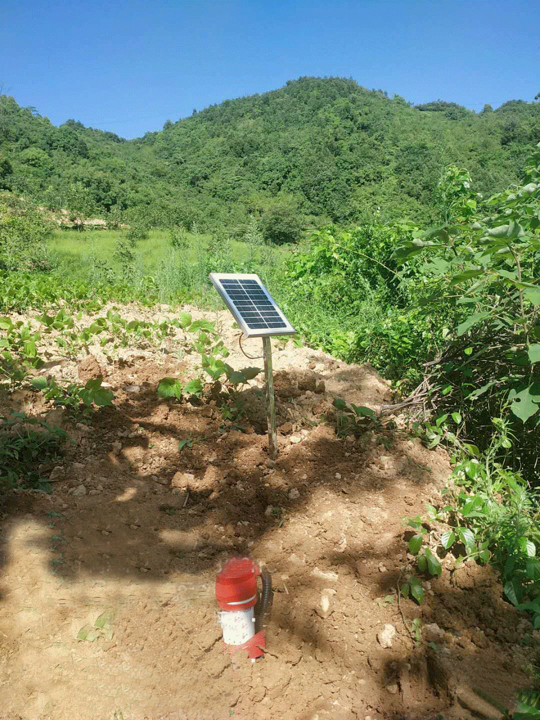 恭賀我院地災(zāi)監(jiān)測監(jiān)理項(xiàng)目中標(biāo)