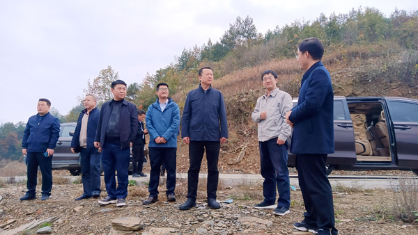 陜西科技控股集團(tuán)有限責(zé)任公司黨委副書記、總經(jīng)理周吉峰一行赴紫陽(yáng)縣蒿坪鎮(zhèn)調(diào)研鄉(xiāng)村振興示范鎮(zhèn)建設(shè)工作并看望慰問掛職干部