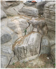 奮戰(zhàn)四季度 決勝贏全年 ——電勘院生產(chǎn)經(jīng)營(yíng)捷報(bào)頻傳